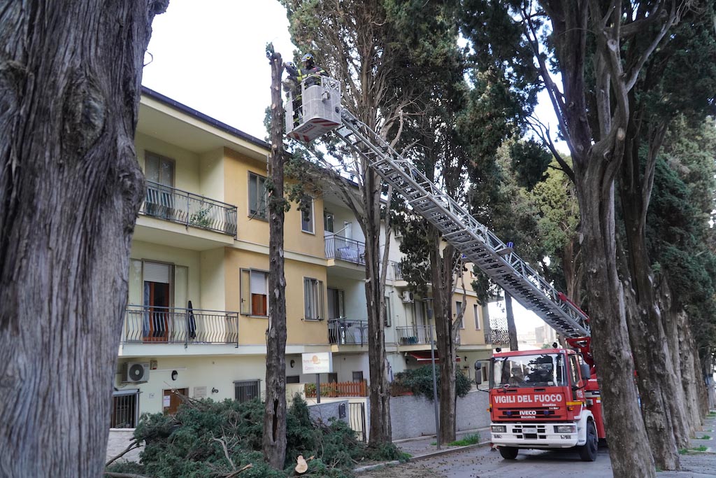 Albero Pericolante L Intervento Dei Vigili Del Fuoco In Via Del