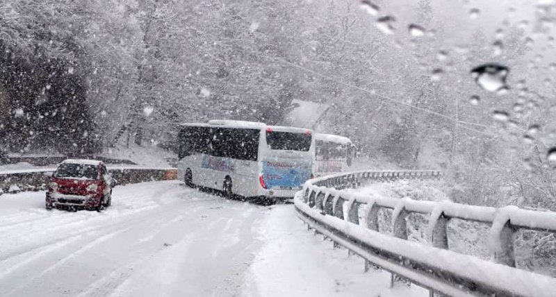 autobus-neve-gissi