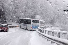 autobus-neve-gissi