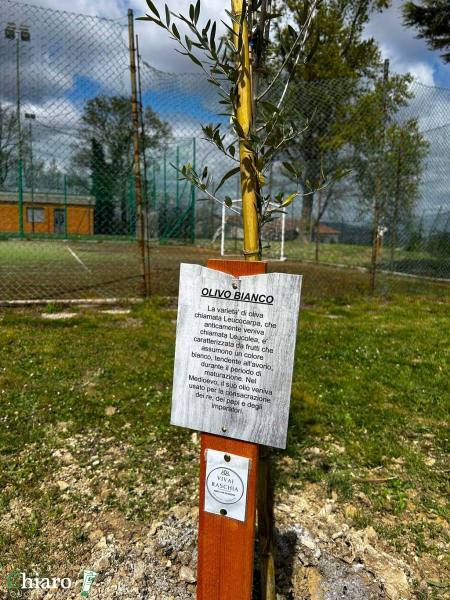 frutteto-popolare-17