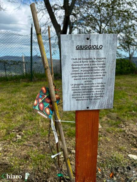 frutteto-popolare-19