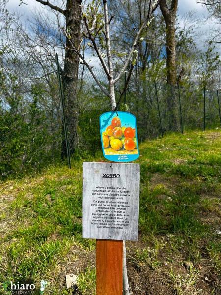 frutteto-popolare-3