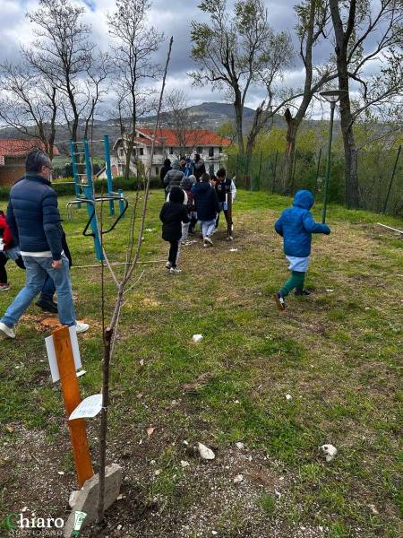 frutteto-popolare-4