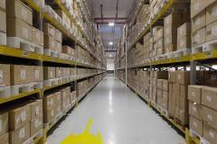 Inaugurazione Falconeri