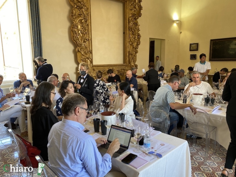 Abruzzo wine experience