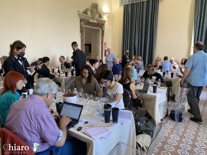 Abruzzo wine experience