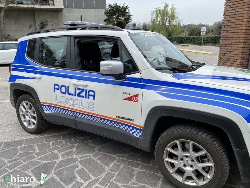 Adotta una telecamera