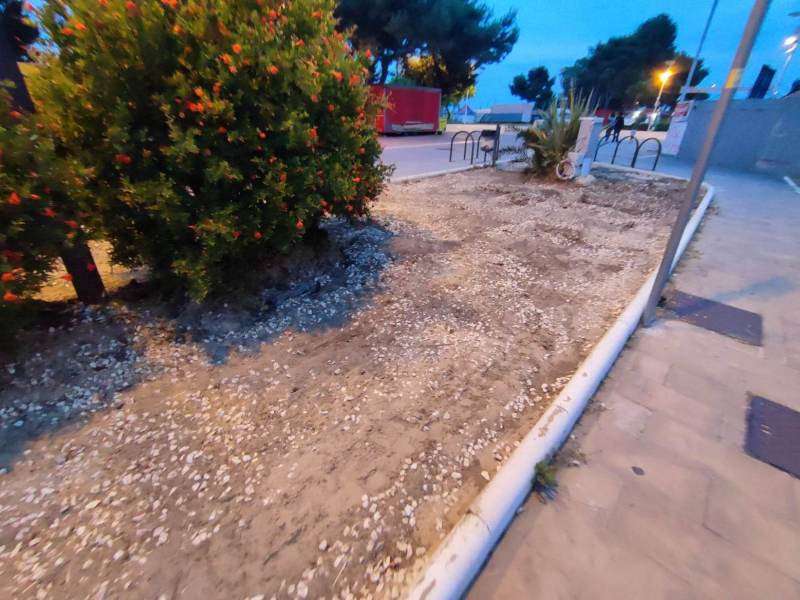 lavori-aiuole-lungomare-2