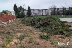 alberi-s-salvo-arap-2