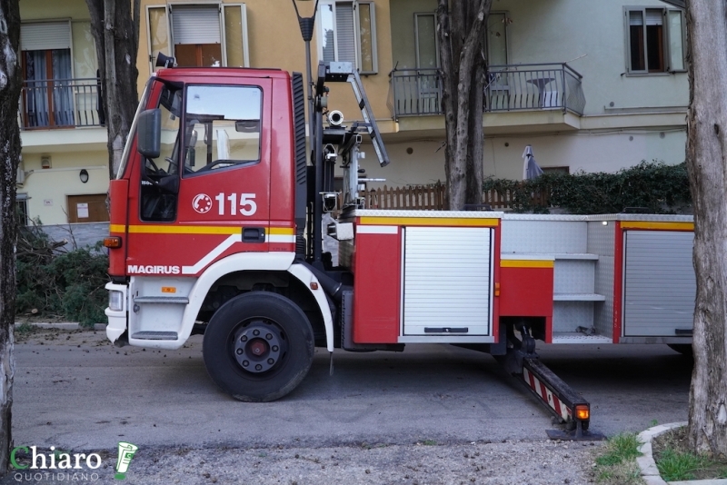 Albero pericolante - L'intervento dei vigili del fuoco