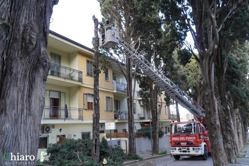 Albero pericolante - L'intervento dei vigili del fuoco