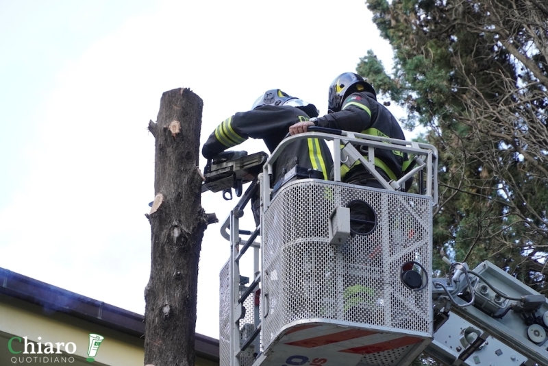 Albero pericolante - L'intervento dei vigili del fuoco