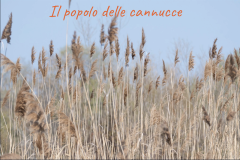 popolo-cannucce-1