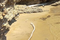 Antico manufatto rinvenuto a Punta Aderci