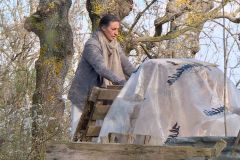 catherine-casa-nel-bosco