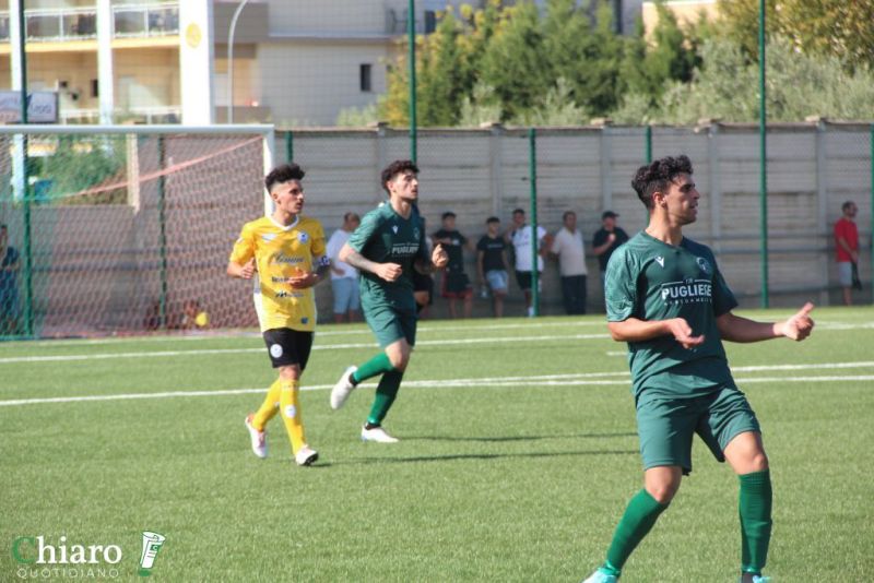 vastomarinaaltino-96