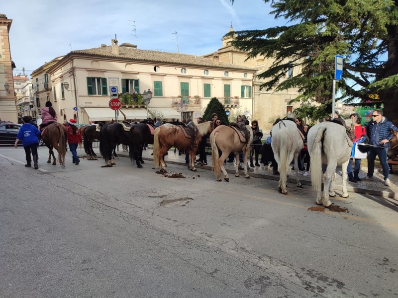 babbo-natale-cavallo-4