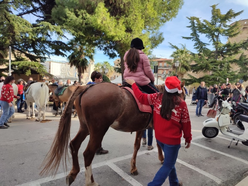 babbo-natale-cavallo-5