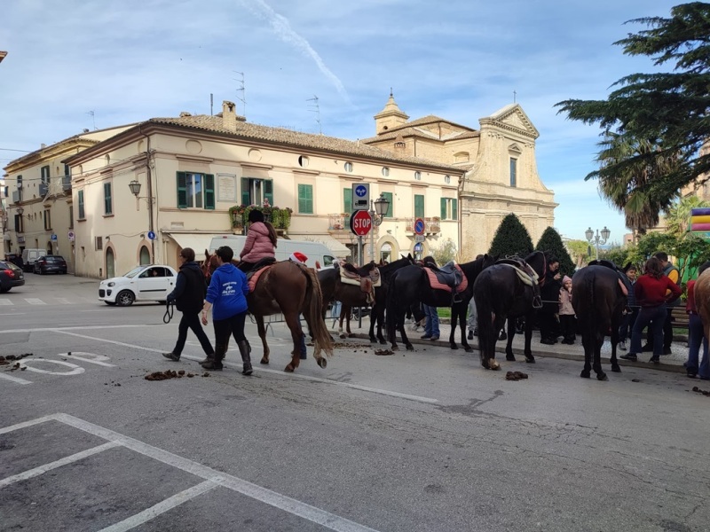 babbo-natale-cavallo-6