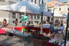 1_campanellesanrocco2026vasto-36