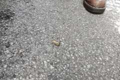 bossoli-piazza-giovine-3