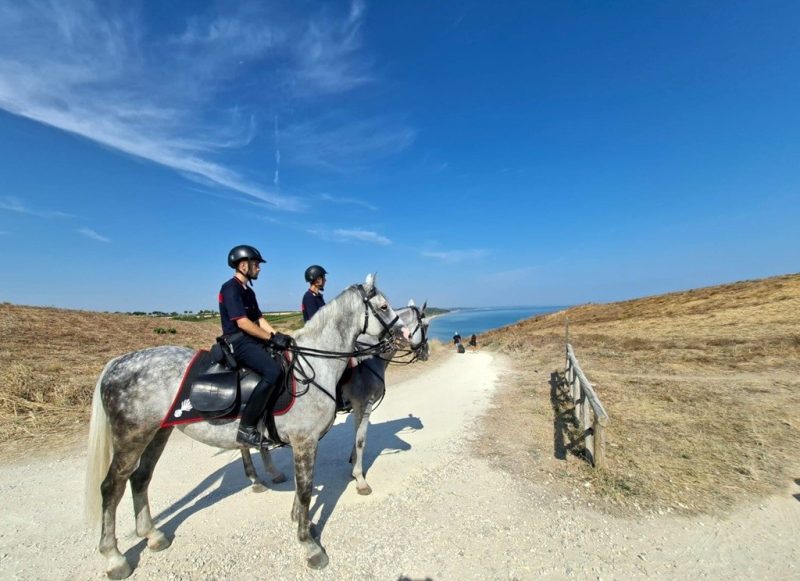 carabinieri-cavallo-2
