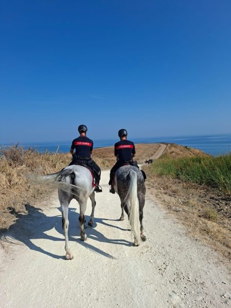 carabinieri-cavallo.2