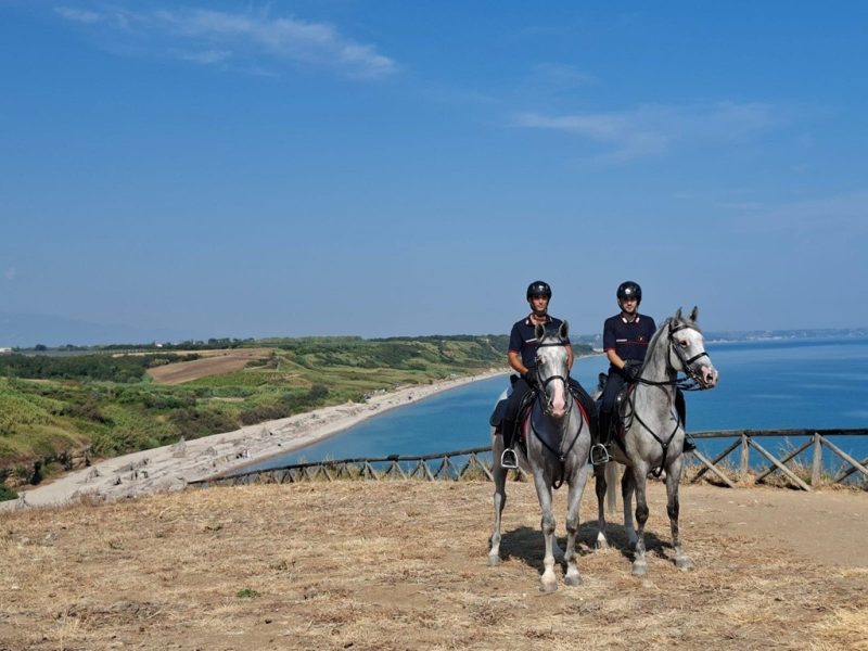 carabinieri-cavallo