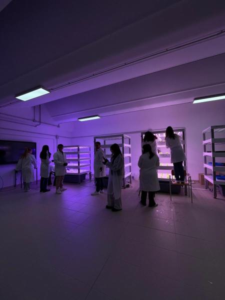 laboratorio-idroponico-mattioli-sansalvo-2