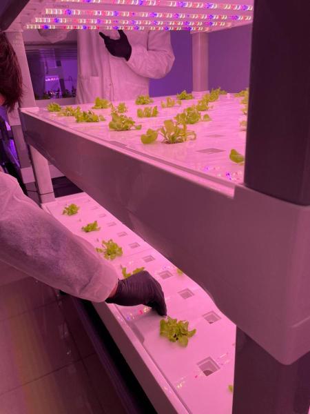 laboratorio-idroponico-mattioli-sansalvo-6