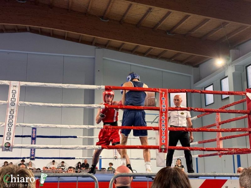 boxecupello-1