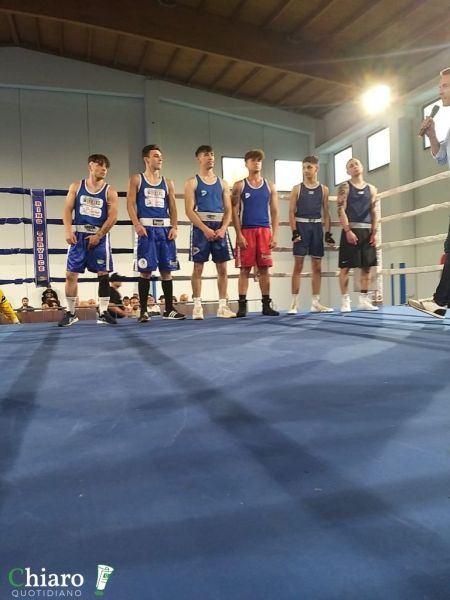 boxecupello-32