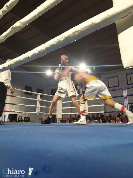 boxecupello-7
