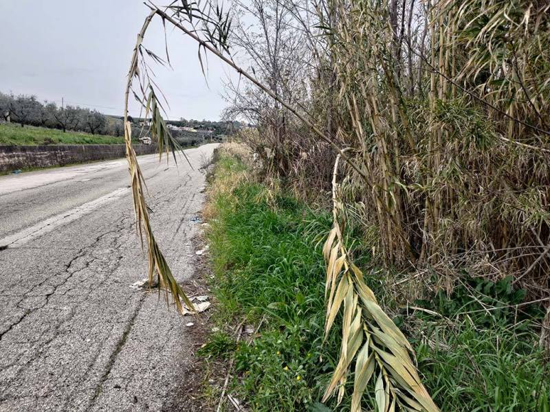 La strada ostaggio dei rifiuti