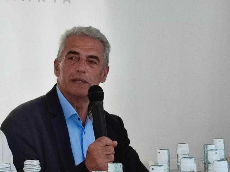 Michelino Jannamico