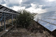 Elio 1, il campo fotovoltaico