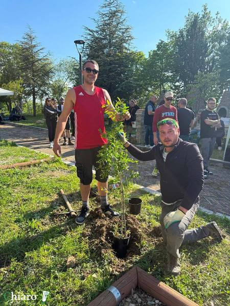 tufillo-alberi-4
