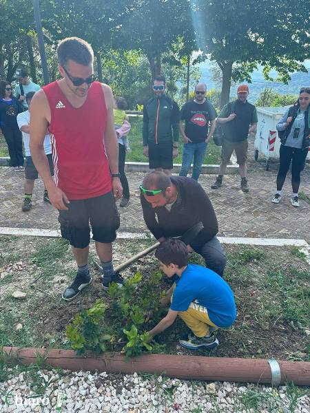 tufillo-alberi-7