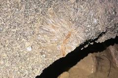 grotte-9