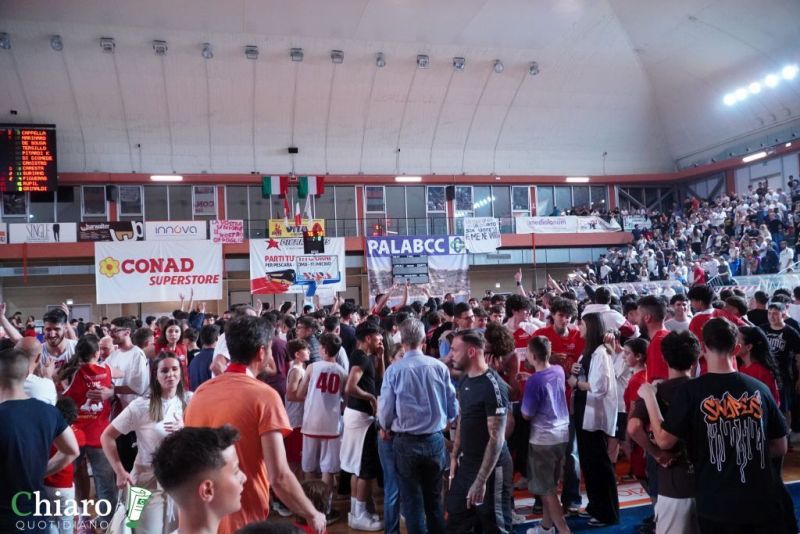festavastobasketB-14
