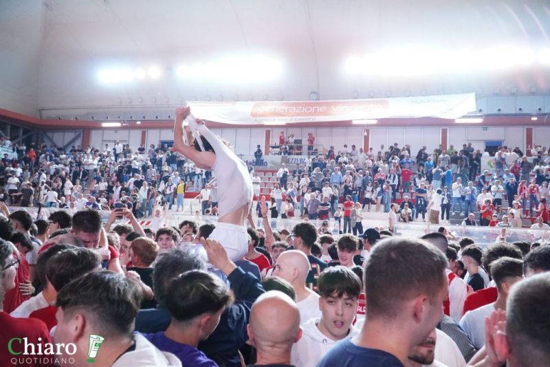 festavastobasketB-20