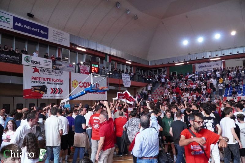 festavastobasketB-46