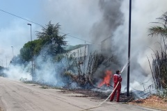 incendio-gissi-capannone-7