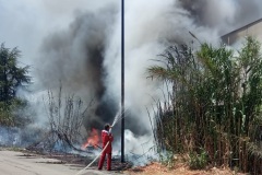 incendio-gissi-capannone-h