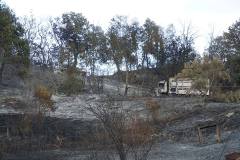 DSC03012