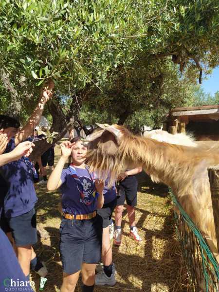 Gli scout di Vasto alla scoperta del territorio