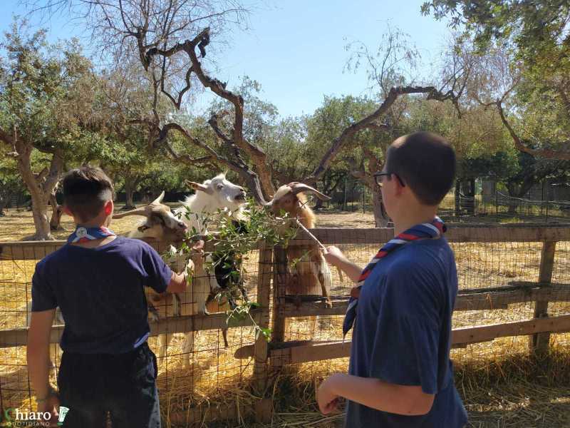 Gli scout di Vasto alla scoperta del territorio