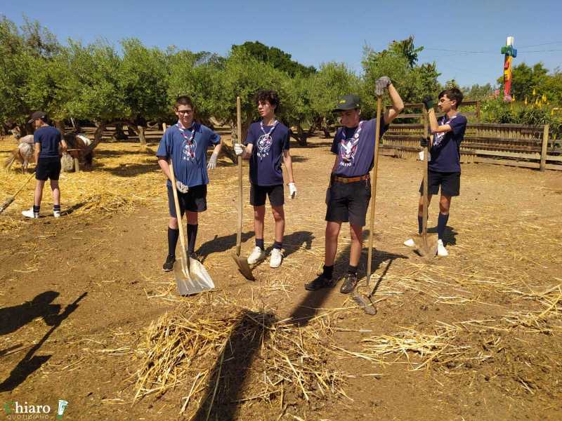 Gli scout di Vasto alla scoperta del territorio