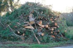 DSC08904