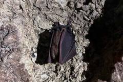 grotte-gesso-20
